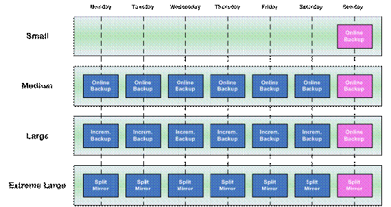 图 9. SAP 数据库备份恢复策略